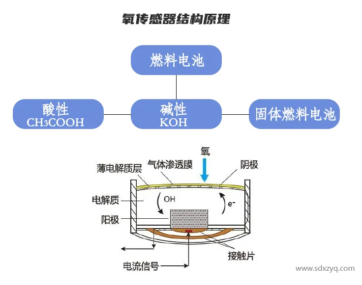 傳感器結(jié)構(gòu)原理.png